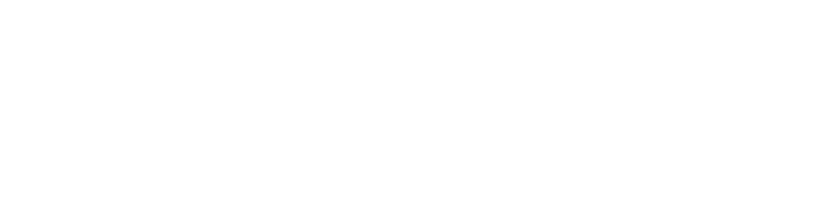 Logo Numérique blanc